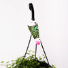 Ivy Hanging Basket / Hedara Helix Pittsburgh Ivy / 300mm Pot (per item)