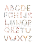 Mushie Poster Alphabet